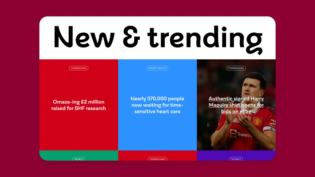 BHF concept exploration screen 2